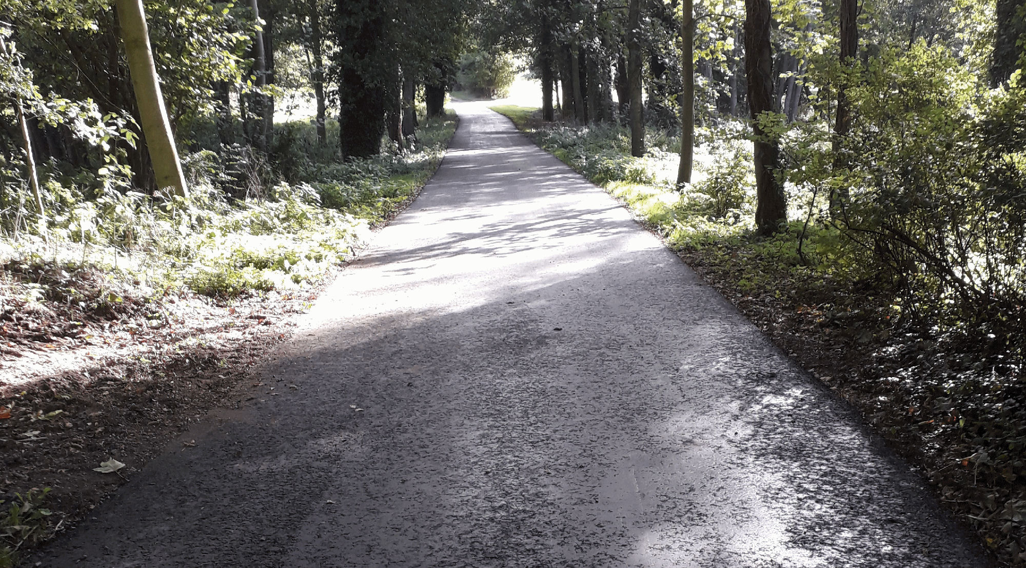 Asphalt/Tarmac Surfacing